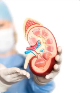 Top Kidney Stone Treatment in Secunderabad